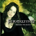 Breaking The Silence